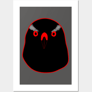 Black Goshawk with red eyes Posters and Art